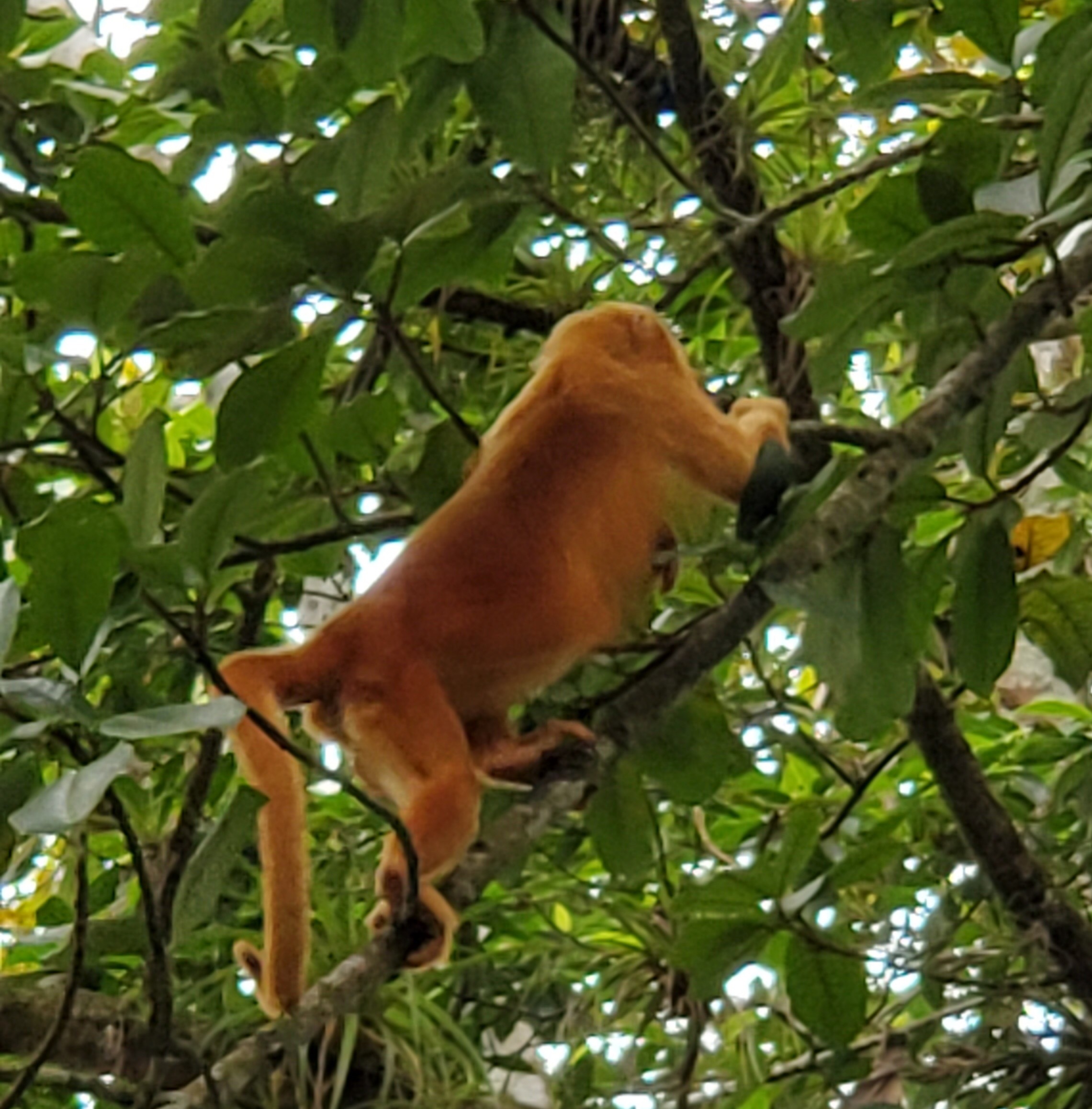 F983B23C-125D-4ECB-A3E9-70F2CC764258