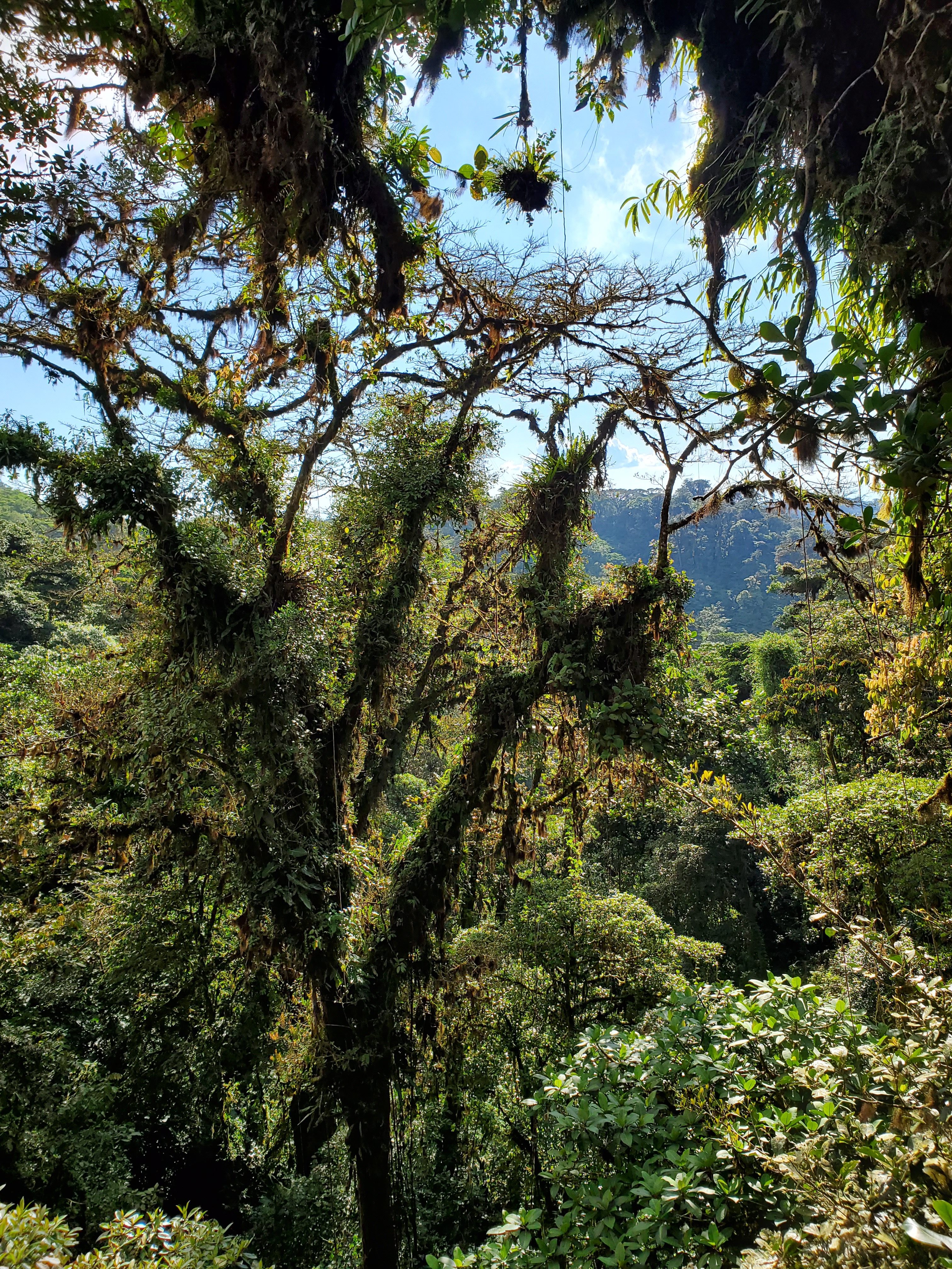 B3443887-4F6A-4807-AE49-2A92AB5DDAFD