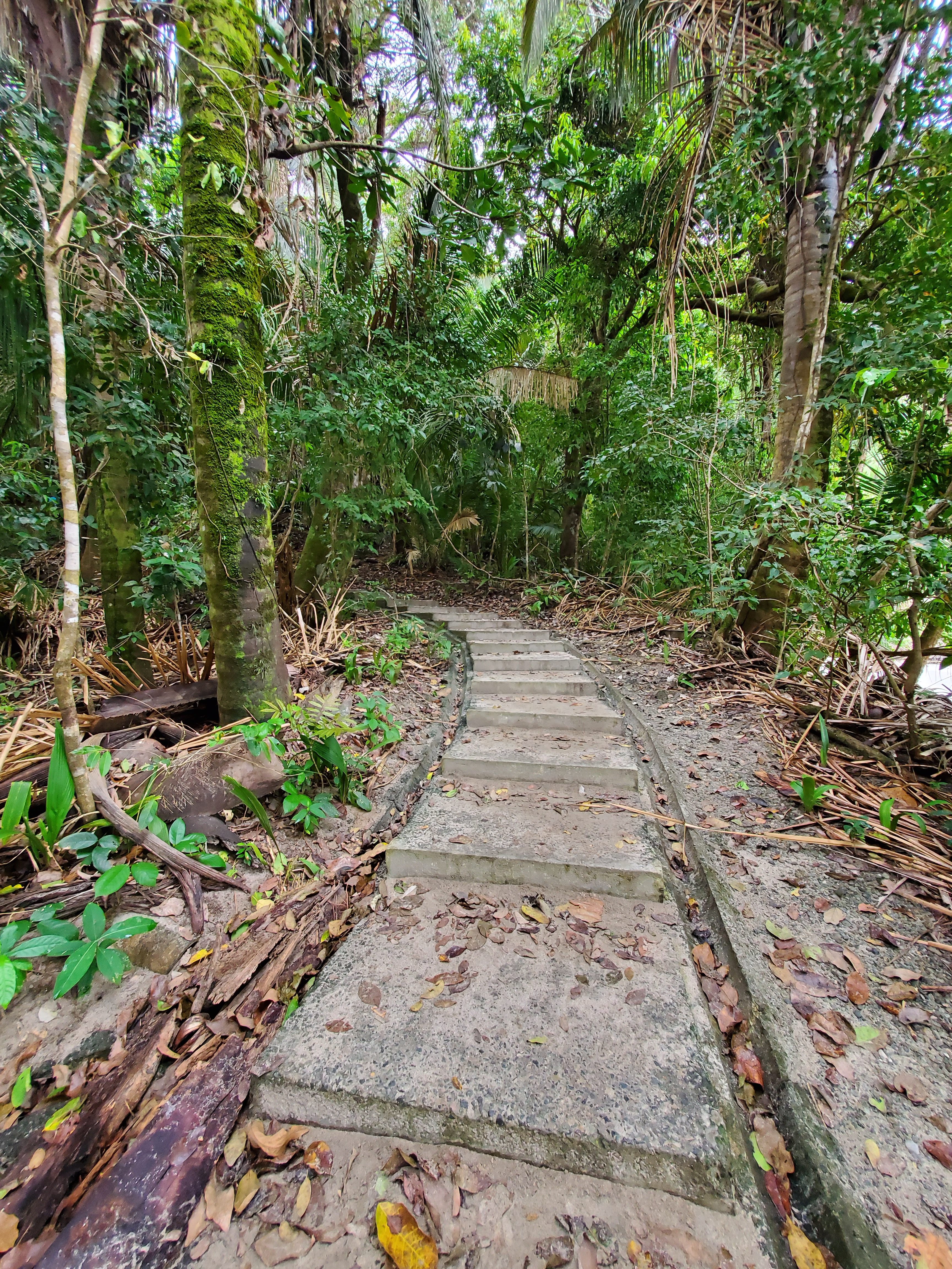 1F9034DA-C4A4-46D7-B116-5AABC4CB9371